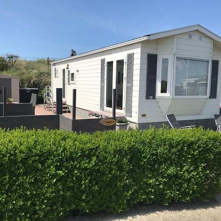 Blauwe Zeedistel Villa IJmuiden Dış mekan fotoğraf
